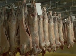 Preţurile impuse de crescătorii de ovine distrug exportul. I-am pierdut pe italieni