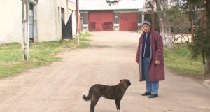 Dramele de langa noi