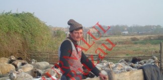 Aviz fermierilor si agricultorilor cu culturi ecologice! Se depun cererile pentru noi subventii