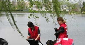 De 1 mai pesedistii au facut curatenie in judet