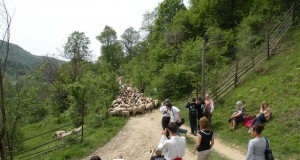 ANTREC organizeaza maine la Varlaam „Intarcatul mieilor”