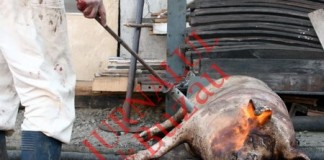 Primele cazuri de trichineloză depistate la Buzău