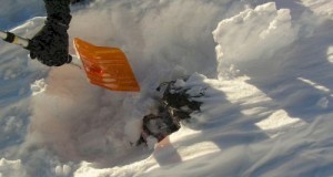 O femeie plecată de acasă de duminică, găsită astăzi fără viaţă