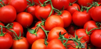 3.000 de euro pentru o cultură de tomate. Care sunt condițiile!