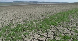Se anunță o vara secetoasă, în 2018!
