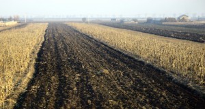 Agricultorii care îşi vor lăsa terenurile necultivate riscă amenzi începând cu anul viitor