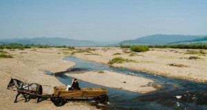 Afluenţii râului Buzău au secat din cauza caniculei