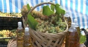 Duminică se sărbătoreşte vinul de Blăjani