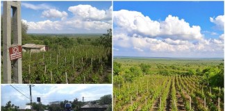 Locurile magice din Buzău popularizate nu de autorităţi ci de o bloggeriţă!