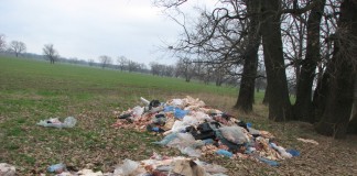 Aproape 3 tone de carne abandonate într-o lizieră de la Ruşeţu