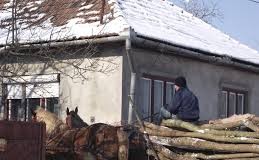 În Buzău se taie ca-n codru! Doar ieri 6 persoane s-au ales cu dosar penal pentru tăieri ilegale