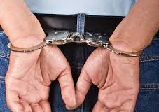 A furat din Austria şi a fost prins la Cătina