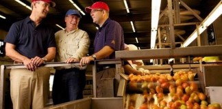 Garanții bancare pentru societățile și cooperativele agricole