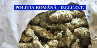 Un reţinut şi alte 10 persoane cercetate sub control judiciar, în dosarul traficanţilor de droguri de la Rm Sărat
