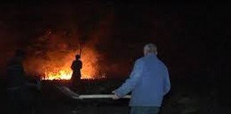 200 de hectare de vegetaţie uscată au ars azi-noapte în zona Cărpiniştea