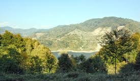 Fostul director tehnic de la Directia Silvica Buzau, cercetat într-un nou dosar de retrocedări ilegale şi chiar spălare de bani