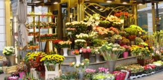 Fiscul începe „Operaţiunea Venus”: florăriile şi saloanele de înfrumuseţare, la control