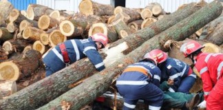 32 de buzoieni răniţi şi 7 morți în accidente de muncă anul trecut