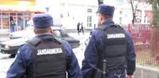 Jandarmii, chemați să intervină pentru prinderea unui dihor