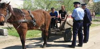 Poliţişti în misiune în mediul rural. Astazi la Merei, Ulmeni, Pietroasele