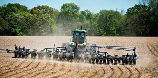 Suprafeţe mari de teren agricol din judeţul Buzău, deținute de italieni şi germani