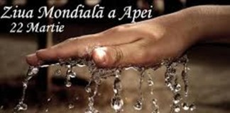 Prietenii H2O – proiectul Companiei de apă împreună cu elevii şcolii 11 , de Ziua Apei