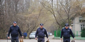 Astăzi îi sărbătorim pe jandarmi. Se împlinesc 166 de ani de la înfiinţarea armei