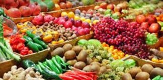 Banca de Gene așteaptă o hotărâre de Guvern pentru a fi înființată