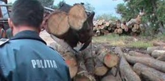 Se caută agenţi de ordine publică. Vezi care sunt condiţiile