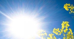 Vreme caldă în primele zile din luna mai; intervale cu averse în majoritatea regiunilor, în următoarele două săptămâni