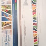 Daniel, Năstase, primar, Vernesti