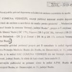 Daniel, Năstase, primar, Vernesti