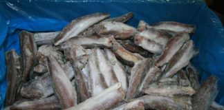 ALERTĂ ANSVSA: Peste 23 de tone de peşte cu viermi aduse în România din Spania. Pestele poate fi prezent în orice magazin din ţară