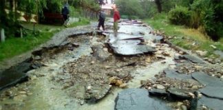 Drum distrus complet de ape, la Merei