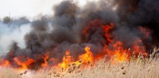 Pompierii din Râmnicu Sărat se luptă să stingă un incendiu de resturi vegetale