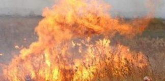 Gospodarii şi agricultorii care dau foc miriştilor riscă amenzi de 3.000 până la 50.000 de lei