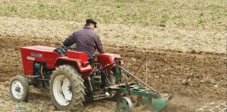 Fermierii vor putea lua din octombrie un avans de 70% din subventiile 2016