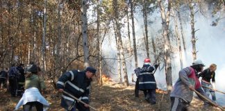 Incendiu de pădure la Brăeşti. Pompierii intervin cu mare dificultate
