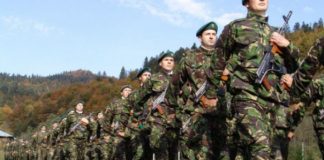 Militari din patru ţări NATO se antrenează în pădurile din judeţul Buzău