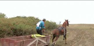 Căzătura din căruţă i-a fost fatală unui tânăr din Cochirleanca