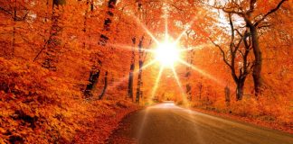 Prognoza METEO pentru 16 și 17 septembrie. Vreme călduroasă