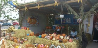 Festivalul “Zilele Dovleacului”, în acest weekend, la Poşta Câlnau