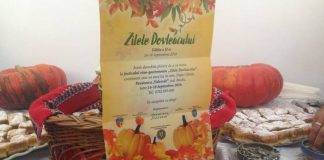 Președintele CJ, Petre Emanoil Neagu, invită buzoienii la Festivalul „Zilele Dovleacului” de la Poșta Câlnău