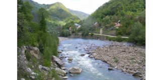 Lunca Buzăului, o nouă arie naturală protejată a rețelei ecologice europene Natura 2000