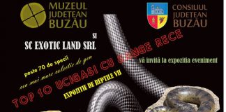 Expoziție la Muzeul Județean- Top 10 ucigași cu sânge rece