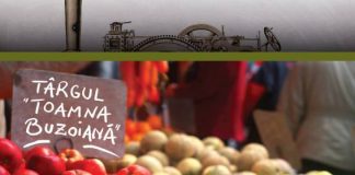 Patru tractoare de epocă, expuse de Muzeul Județean în Piața Dacia