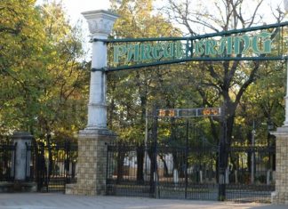 Copacii din Parcul Crâng, tăiați din cauza unei boli care usucă ulmii