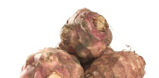 „PLANTA VIITORULUI”, care produce 100 de tone la hectar, adaptată în România la Buzău