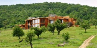 În judeţul Buzău este de vânzare o casă de 2,5 milioane de euro. Vezi aici cui aparţine