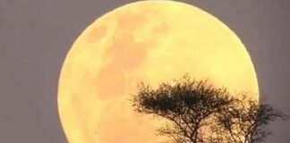 SUPER LUNA. Cea mai mare lună plină din ultimii 70 de ani va putea fi văzută pe cer pe 14 noiembrie